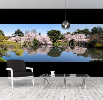 Picture of Kirschblte im japanischen Garten in Tokyo Japan 